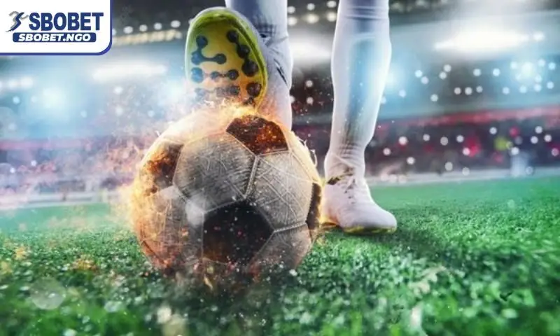 Quy trình cược bóng đá online an toàn cho người mới Quy trình cược bóng đá online an toàn cho người mới