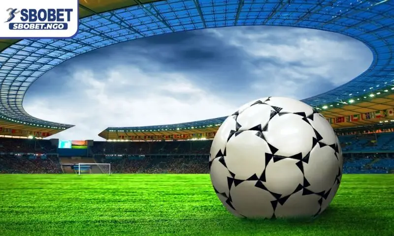 Kinh nghiệm chọn kèo và đọc tỷ lệ chuẩn xác Kinh nghiệm chọn kèo và đọc tỷ lệ chuẩn xác