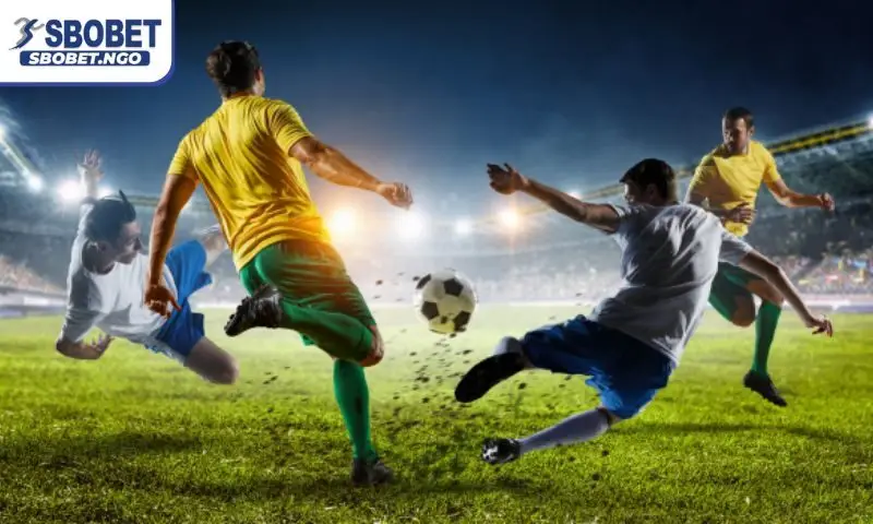 Tìm hiểu xu hướng cá cược bóng đá online 2025 Tìm hiểu xu hướng cá cược bóng đá online 2025